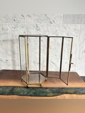 Vintage 6.75” Brass and Glass Hexagon Curio Display Case / Terrarium